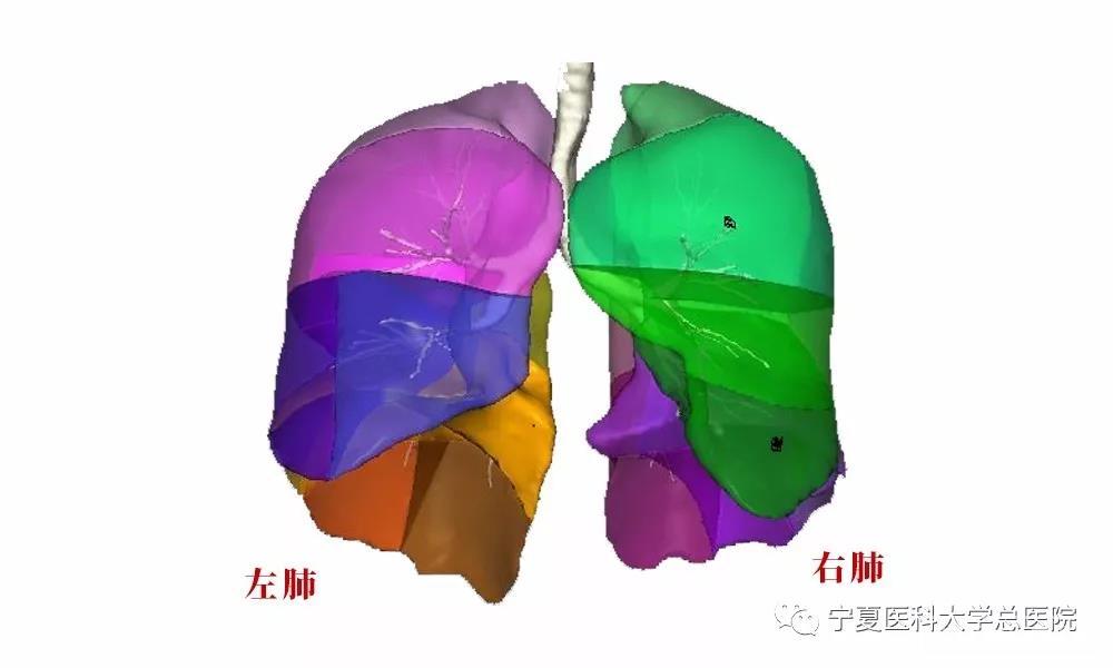 中期肺平均生存期鳞癌能活多久_中期肺鳞癌能治愈吗_肺鳞癌中期平均生存期